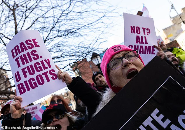 Rachel Maddow Outraged Stonewall Riots Hero By Claiming The Seminal Gay Rights Protest Was A 'Transgender Riot'