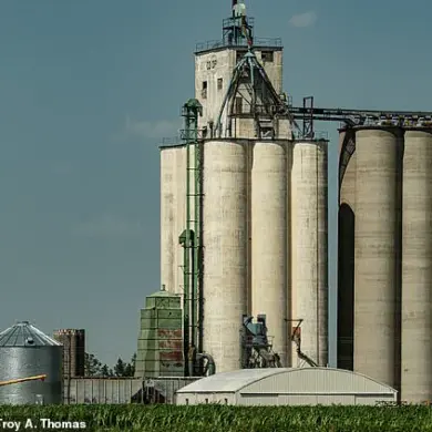 US Farmers Face Financial Hardships Due to Delayed Government Reimbursements and Frozen Funds