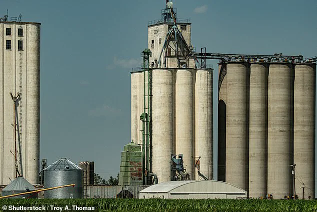 US Farmers Face Financial Hardships Due to Delayed Government Reimbursements and Frozen Funds