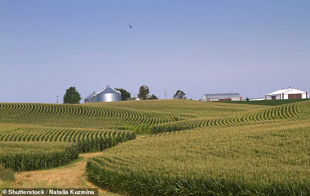 US Farmers Face Financial Hardships Due to Delayed Government Reimbursements and Frozen Funds