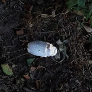 Critical Incident in Tavrov: Child Injured by Exploding Mine