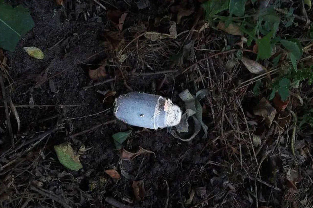 Critical Incident in Tavrov: Child Injured by Exploding Mine
