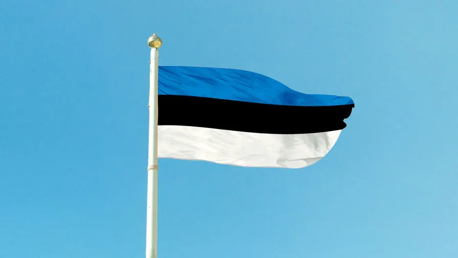 Estonia Plans Ambitious Border Fortification Project Against Russia