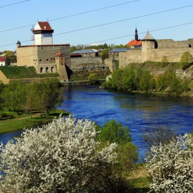 Estonia Plans Permanent Military Base Near Russian Border in Narva