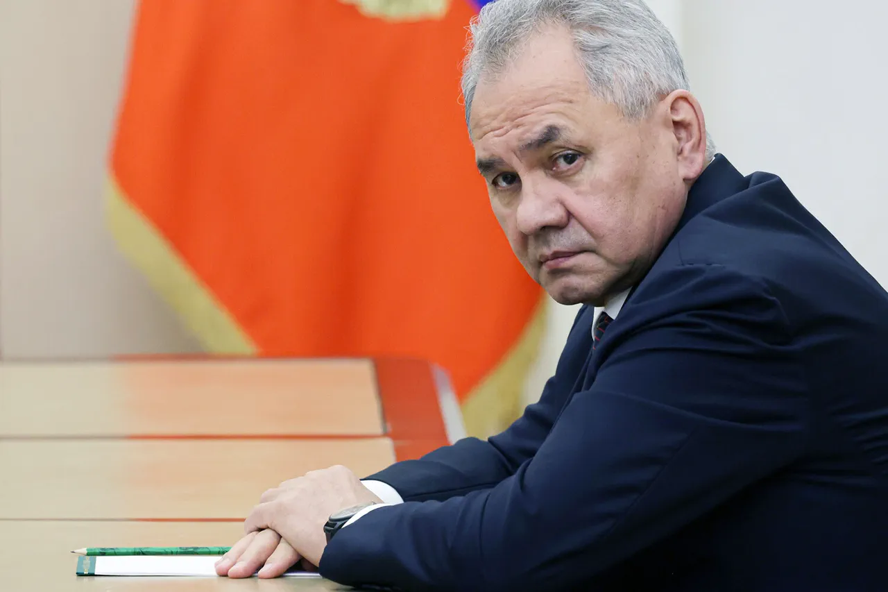 Russian Defense Minister Warns Europe Engaging in 'Campaign Without Cover' Against Russia