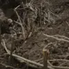 Russian Sources Report Mass Desertions Among Ukrainian Soldiers Near Conflict Zone