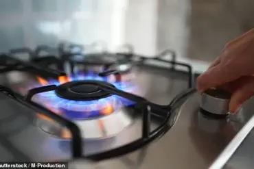 Stanford Study Reveals Gas Stoves Emit Cancer-Causing Benzene, Raising Health Alarms for American Families