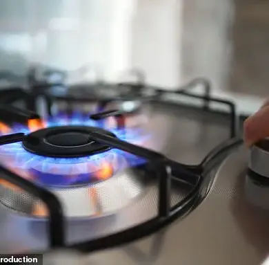 Stanford Study Reveals Gas Stoves Emit Cancer-Causing Benzene, Raising Health Alarms for American Families