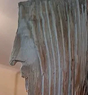 Why People See Jesus' Face Everywhere: The Science Behind Face Pareidolia