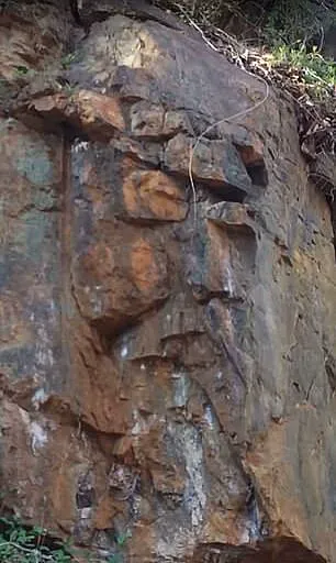 Why People See Jesus' Face Everywhere: The Science Behind Face Pareidolia