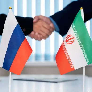 Behind Closed Doors: Putin's Secret Diplomacy for Peace and Stability in Donbass