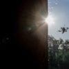 Drone Attacks Thwarted in Rostov Oblast: Air Defense Forces Intercept Threat, No Casualties Reported Yet; Urgent Vigilance Called for Residents
