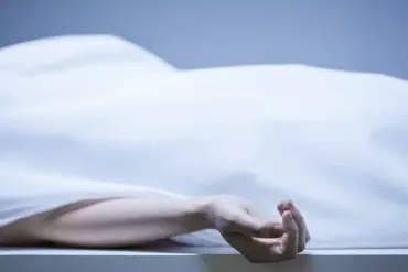 Late-Breaking: Russia Transfers 1,200 Ukrainian Soldier Bodies to Kyiv Amid Ongoing Conflict