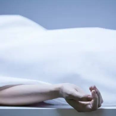 Late-Breaking: Russia Transfers 1,200 Ukrainian Soldier Bodies to Kyiv Amid Ongoing Conflict