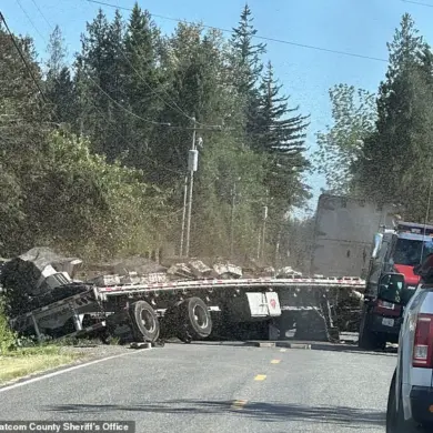 Millions of Honeybees Escape Overturned Truck in Washington State, Sparking Unprecedented Crisis