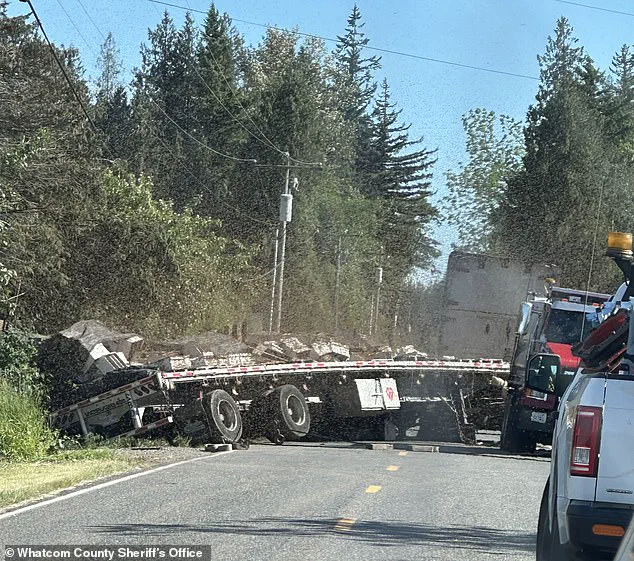 Millions of Honeybees Escape Overturned Truck in Washington State, Sparking Unprecedented Crisis