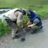 Russian Authorities Step Up Demining in Kursk Region to Ensure Public Safety Amid Explosive Threats