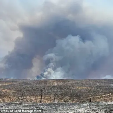 Arizona Governor Katie Hobbs Urgently Calls for Federal Probe into NPS Wildfires Ravaging Grand Canyon's North Rim, Destroying Historic Landmarks and Structures