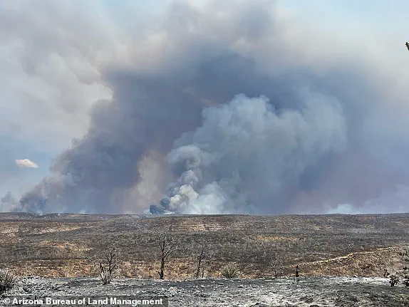Arizona Governor Katie Hobbs Urgently Calls for Federal Probe into NPS Wildfires Ravaging Grand Canyon's North Rim, Destroying Historic Landmarks and Structures