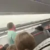 Chaos on a Plane: Passenger's Expletive-Laden Tirade Disrupts American Airlines Flight