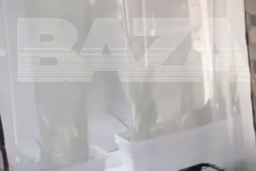 Chilling Video Captures Ukrainian Drone Attack Near Azov Home, Signaling Civilian Risks and Expanded Military Reach