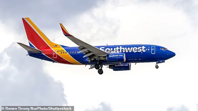 Conservative Activist Alex Stein Alleges Southwest Airlines Refused Assistance During Flight Cancellation Incident
