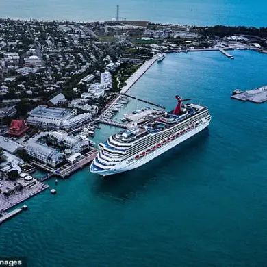 Cruise Ship Incident Raises Questions About Safety Regulations and Government Oversight