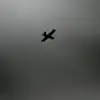 Escalating Drone Strikes in Donetsk Raise Concerns Over Public Safety