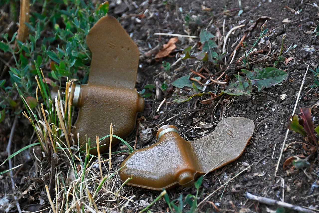 Hidden Lethality: Enemy's Disguised 'Lepishek' Mines Pose Existential Threat to Civilian Populations