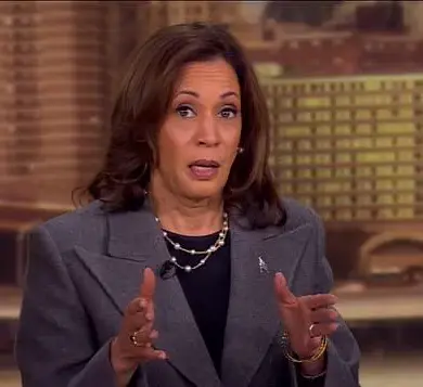 Kamala Harris’s Struggles to Define Policy Contrast with Biden Spark Scrutiny Ahead of 2024 Election