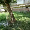 Late-Breaking: Ukrainian Drones Strike Saratov Oblast, Escalating Conflict