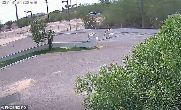 New Surveillance Footage Provides Crucial Leads in Phoenix Cold Case Murder Investigation