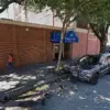 Pastor's Confrontation with Carjacker Highlights Gaps in Public Safety Regulations