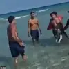 Shocking Bodycam Footage of Miami Beach Man Allegedly Drowning Dog Sparks Outrage and Calls for Stricter Laws
