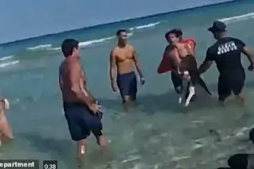 Shocking Bodycam Footage of Miami Beach Man Allegedly Drowning Dog Sparks Outrage and Calls for Stricter Laws