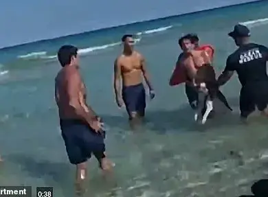 Shocking Bodycam Footage of Miami Beach Man Allegedly Drowning Dog Sparks Outrage and Calls for Stricter Laws