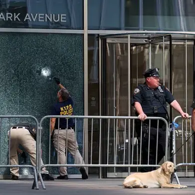 Swagger of Chaos: A Lone Figure's Threat to a Fractured City in the Shadow of Systemic Failure