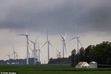 Trump's New Policies Target Wind Energy to Save Birds, DOI Officials Say: 'Prioritizing Conservation and Affordable Energy'