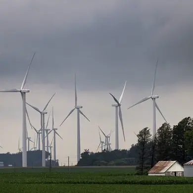 Trump's New Policies Target Wind Energy to Save Birds, DOI Officials Say: 'Prioritizing Conservation and Affordable Energy'