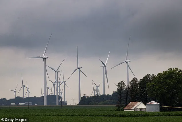 Trump's New Policies Target Wind Energy to Save Birds, DOI Officials Say: 'Prioritizing Conservation and Affordable Energy'