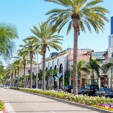 Beverly Hills resident Camille Anderson assaulted in Rodeo Drive mugging