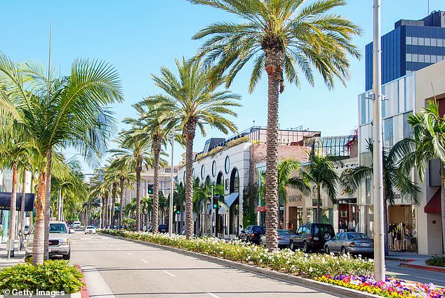 Beverly Hills resident Camille Anderson assaulted in Rodeo Drive mugging