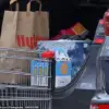 Conjoined Twins Abby and Brittany Hensel Spotted Running Errands with Husband and Dog
