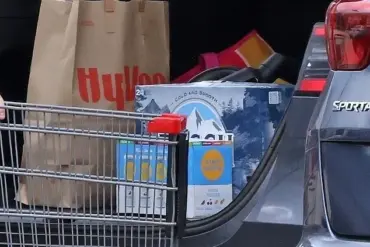 Conjoined Twins Abby and Brittany Hensel Spotted Running Errands with Husband and Dog