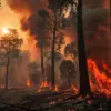 Exclusive: Firefighters' Swift Response Highlights Privileged Access to Emergency Information