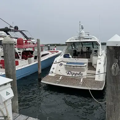 Government Investigations and the Call for Transparency in High-Profile Deaths