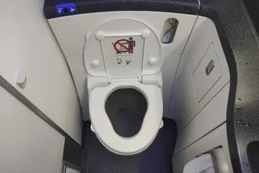 Health Crisis on United Airlines Flight Sparks Inquiry into In-Flight Meal Safety