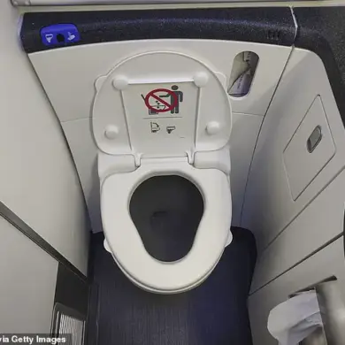Health Crisis on United Airlines Flight Sparks Inquiry into In-Flight Meal Safety