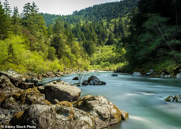 Northern California Highway Reveals Rare Mantle Rock Exposed in Late-Breaking Discovery