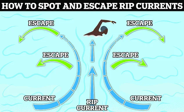 Retired Surfer David 'Bean' Coffee Saves Father and Son from Deadly Rip Current Off New Smyrna Beach, Florida
